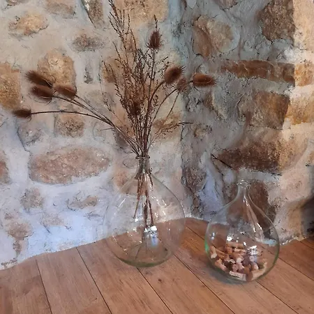 Maison De Nant לינה וארוחת בוקר Vorey
