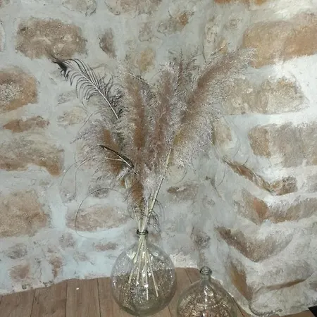 Maison De Nant * Vorey